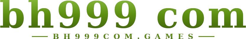 bh999 com logo